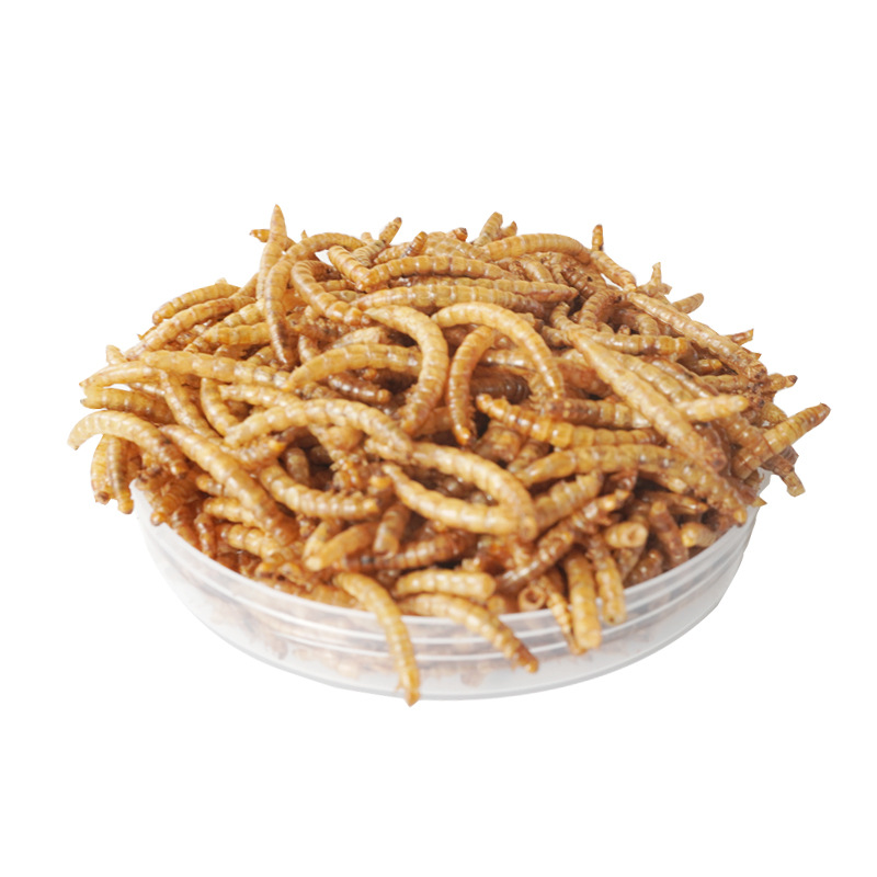 Food Protein Snacks - Camilan Protein Tinggi Makanan Hamster Burung